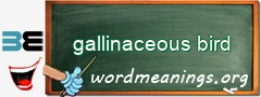 WordMeaning blackboard for gallinaceous bird
